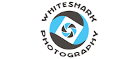 Whiteshark Photography